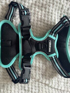 rabbitgoo Dog Harness No Pull with 2 Leash Clips, Adjustable Soft Padded